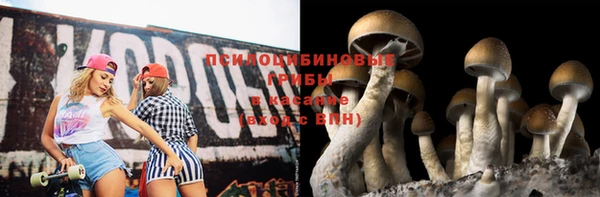 скорость Горняк