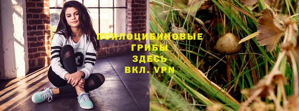 скорость Горняк