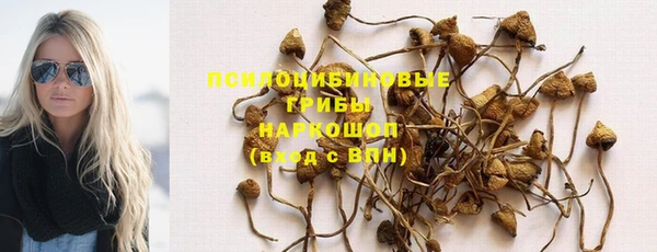 дмт Горнозаводск